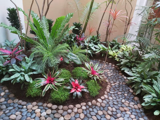 Jardín de interior  en Surco